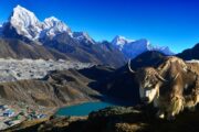 everest-base-camp-10