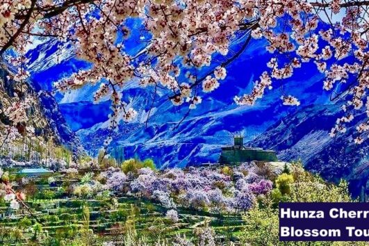 Hunza cherry blossom Tour