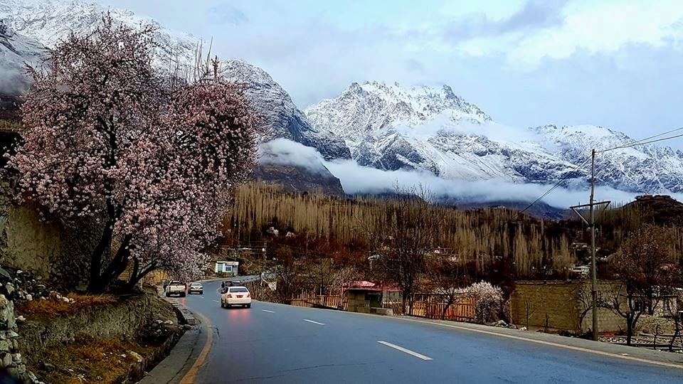 Hunza cherry blossom Tour